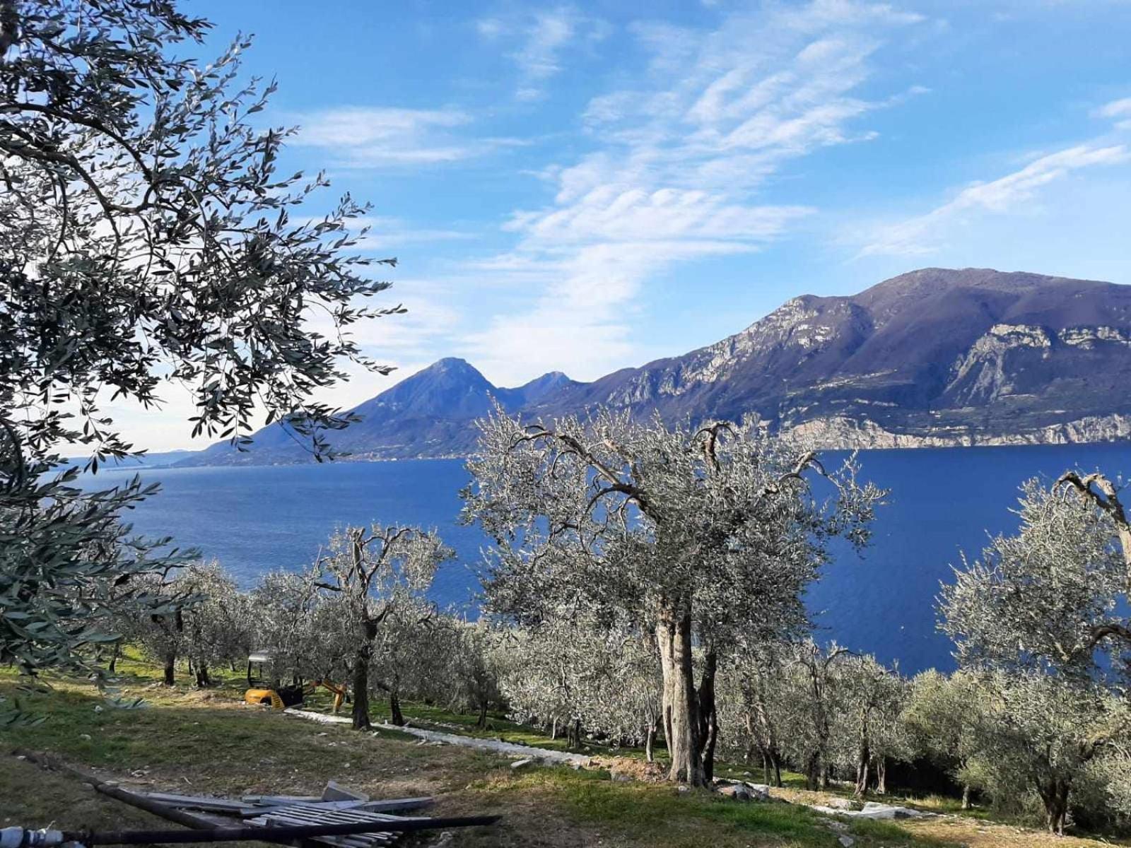 Dimora Molini Sette Immerso Nella Natura Apartment Garda  Exterior photo